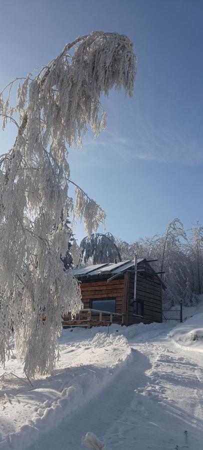 Vila Enklawa W Porebie Długopole-Zdrój Exteriér fotografie