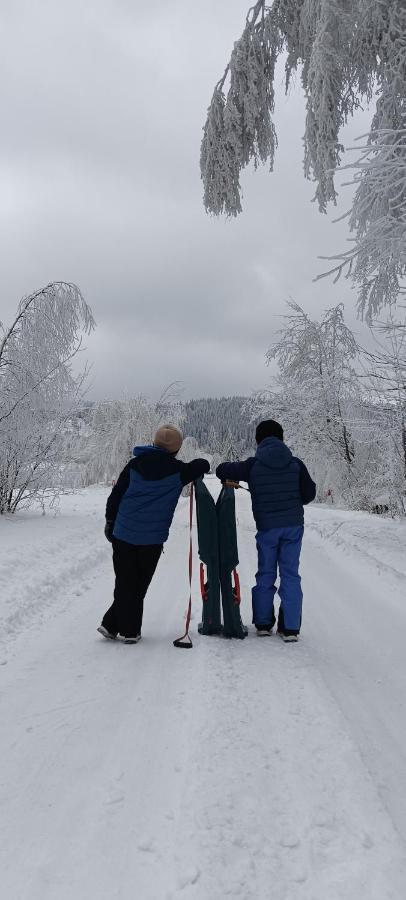 Vila Enklawa W Porebie Długopole-Zdrój Exteriér fotografie