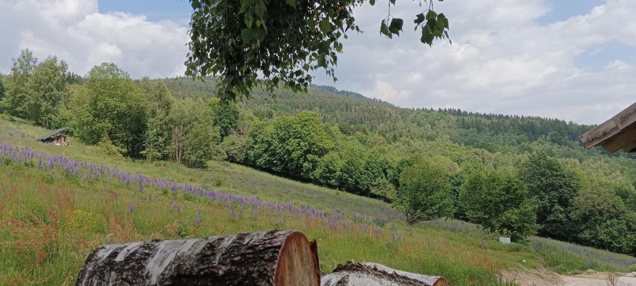 Vila Enklawa W Porebie Długopole-Zdrój Exteriér fotografie