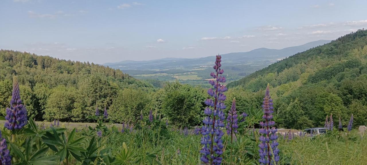 Vila Enklawa W Porebie Długopole-Zdrój Exteriér fotografie